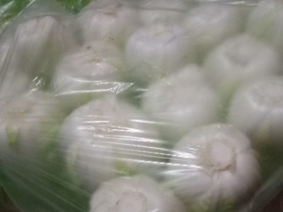 无公害蔬菜基地，黄心娃菜，产地直销，价格低‘！图1