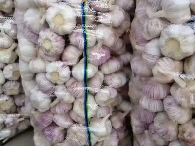金乡大蒜代收代存图1