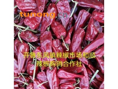 供应内蒙北京红干椒，花皮图1
