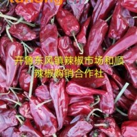供应内蒙北京红干椒，花皮