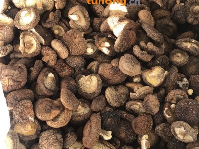 优质香菇干色泽鲜艳肉厚产地直销图1