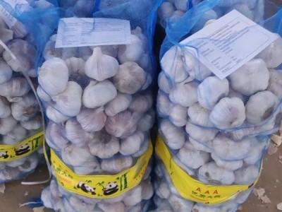 金乡大蒜 代购 代销 代发全国图1