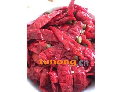 芥菜个头个大,口感脆图1