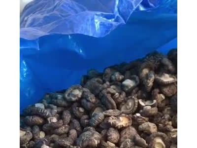 茶花香菇干统货图1