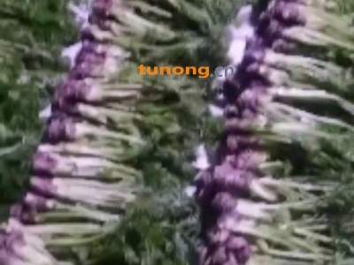 辽宁抚顺清原图1