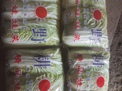 供应娃娃菜 上海青 江苏苏北农场直供图1