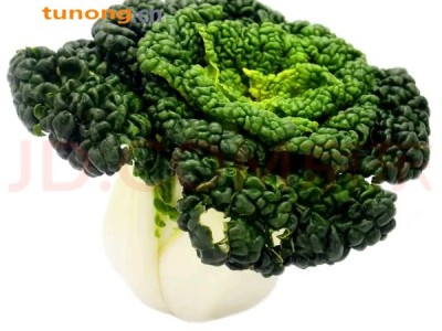 叶菜，上海青图1