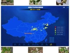 预计今年4月份苹果花期冻害风险