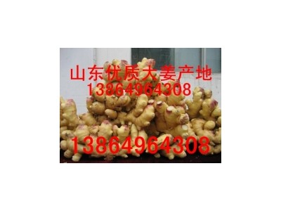 山东小黄姜山东小黄姜产地图1