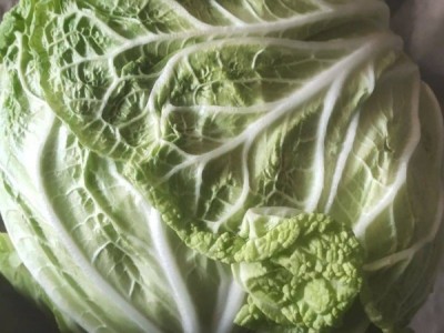 开封大白菜大量供货，欢迎新老客户前来订购！图1