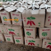 河南开封沙地红薯大量供货，品质好价格优！