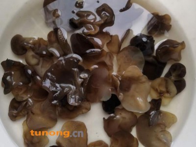 东北 木耳，口感软糯，泡发率高图1