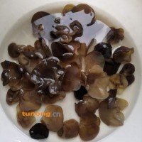 东北 木耳，口感软糯，泡发率高