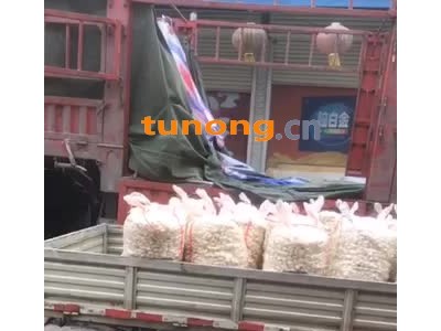 安徽无为荸荠1.8元/斤、去皮白荸荠2.8元/斤图1