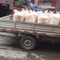 安徽无为荸荠1.8元/斤、去皮白荸荠2.8元/斤