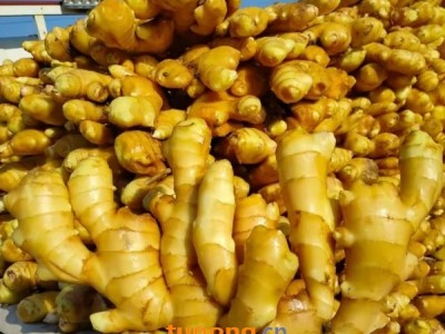 山东生姜产地全国批发大黄姜小黄姜价格便宜支持代发图1