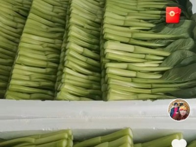 菜心，芥蓝，油菜图1