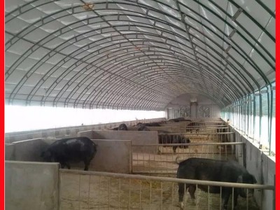 养猪场猪棚建造 养猪大棚建设 猪舍大棚施工安装图1